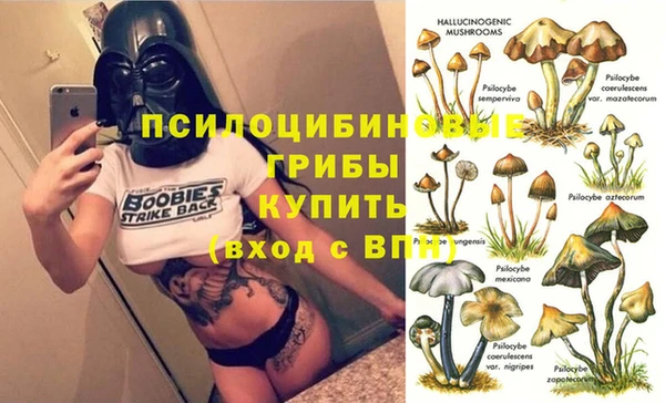 СК Верея